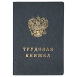 Бланк "Трудовая книжка" Гознак - фото 324540