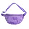 Сумка поясная LOREX CLEAR WB "Amazing" (LXWBCL-AW, 212270) 26*14см, с прозрачной вставкой