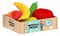 Набор продуктов "Фрукты" 6шт. (433/2) в ящике - фото 208367