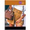 Тетрадь 80л. А4 на спирали BG "Beauty&Fashion" (Т4гр80_лг 11906) глянцевая ламинация - фото 217007