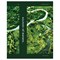 Тетрадь 48л. BG "Тайны природы" клетка (Т5ск48_лм 11870) матовая ламинация, форзац с дизайном, блок повышенной плотности - фото 234498
