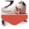 ! РАСПРОДАЖА Конверт для денег MESHU "Без текста" (MS_65060) "Funny cats", в ассорт., матовая ламинация - фото 282556