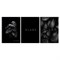 Тетрадь 96л. А4 на спирали BG "Just black", клетка (Т4гр96_лс_вл 08659) soft-touch ламинация, выб. лак - фото 284192