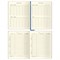 ! РАСПРОДАЖА Дневник тв. об., иск. кожа 1-11 кл. "Yes" (D5h48_64511, BG) печать, тиснение фольгой, ляссе - фото 288350
