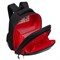 Рюкзак GRIZZLY "Динозавры" (RAz-587-5) 36*28*20см, цвет черный, формованный, анатомическая спинка - фото 321343