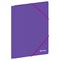 Папка на резинках BERLINGO "Raze" фиолетовая (FB4_A4152) А4, 600мкм - фото 304027