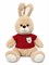 Зайка в свитере, 25см (Белоруссия) цвет в ассортименте