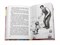 Книга "Все рассказы для летнего чтения" 1-4 классы (36024-6) 496стр. - фото 320228