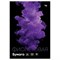 Бумага "BG. Интенсив" А4, 80г/м2, 100л., фиолетовая (BFcA4-100_92992) в коробке